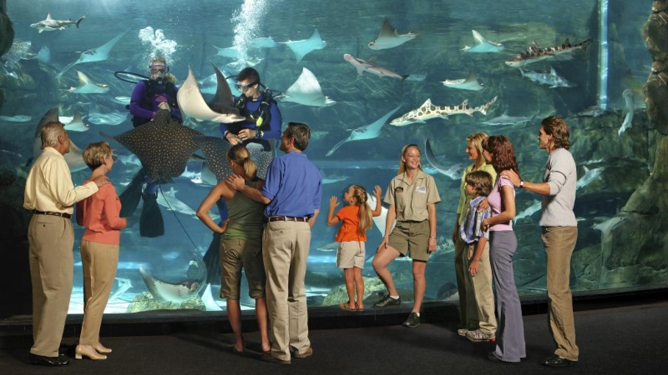 Ripley S Aquarium Of The Smokies Programs Tennessee River Valley