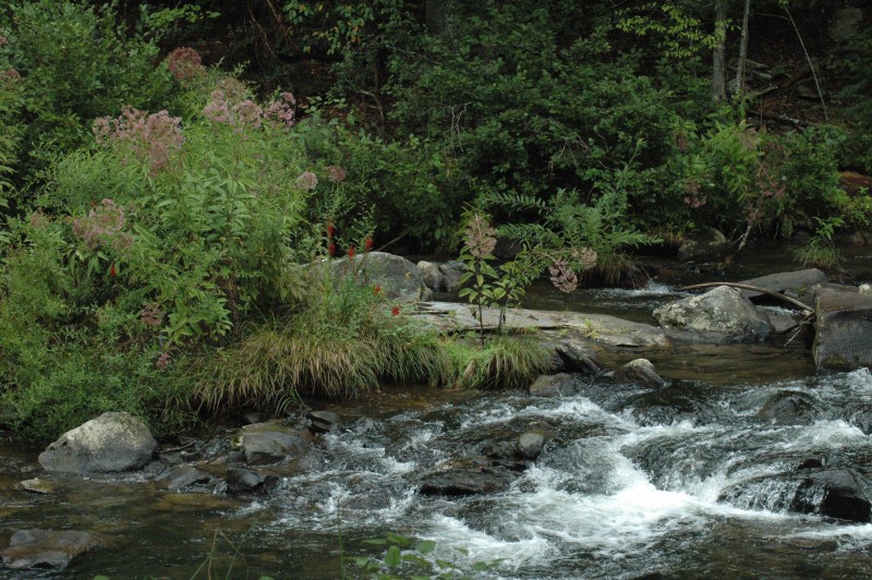 Bald River Falls
