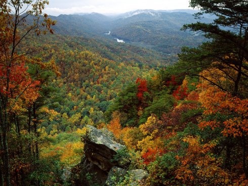 Apples, Arts, and Autumn Leaves- 6 Appalachian Traditions to Explore this  Fall | Tennessee River Valley, image size:1360x764