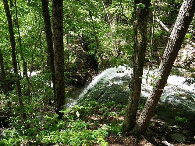 North Chickamauga Creek State Natural Area Tennessee River Valley