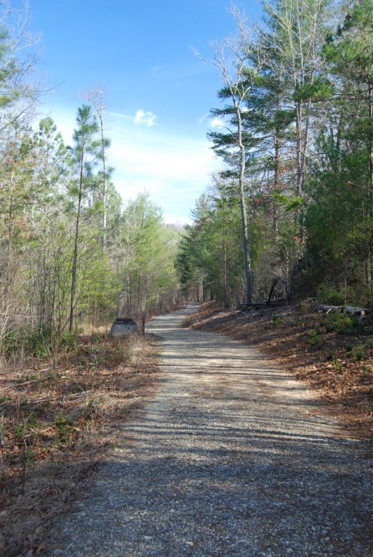 Nottely Tailwater Trail Tennessee River Valley