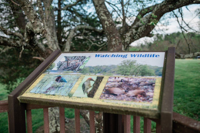 Cross Creeks National Wildlife Refuge Tennessee River Valley