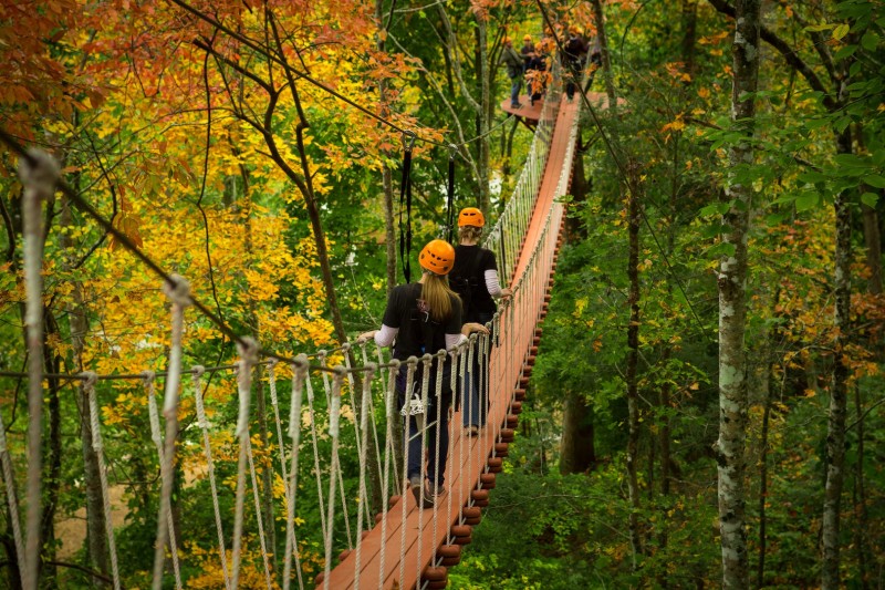 シム・シメール、【A Walk in the Woods Autumn 2】 シム・シメール、【A Walk in the Woods Autumn 2