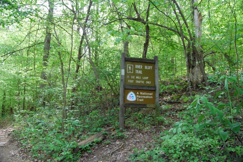 River Bluff Trail and Small Wild Area | Tennessee River Valley