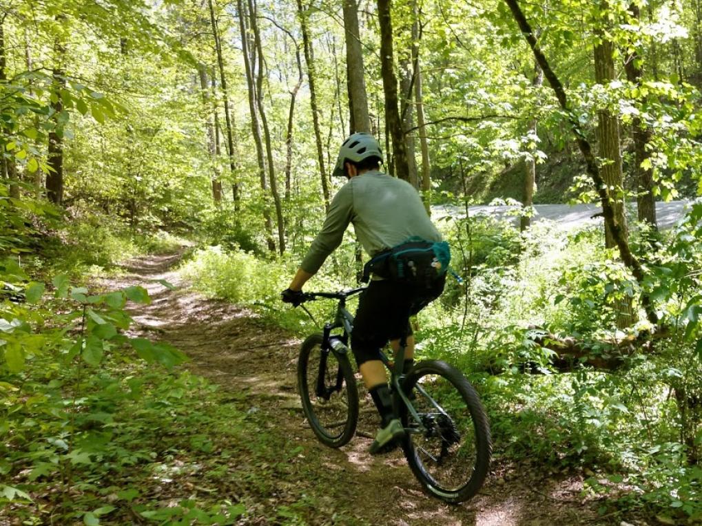 Norris Area Trail System | Tennessee River Valley