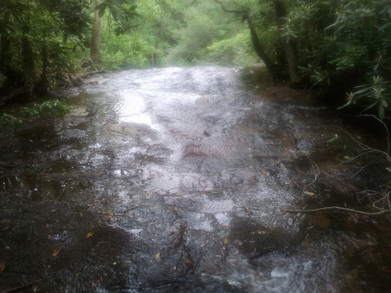 bank of america personal loans bad credit