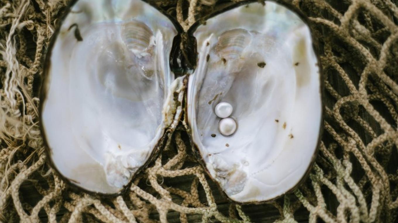 Tennessee Freshwater Pearl Farm and Museum | Tennessee River Valley