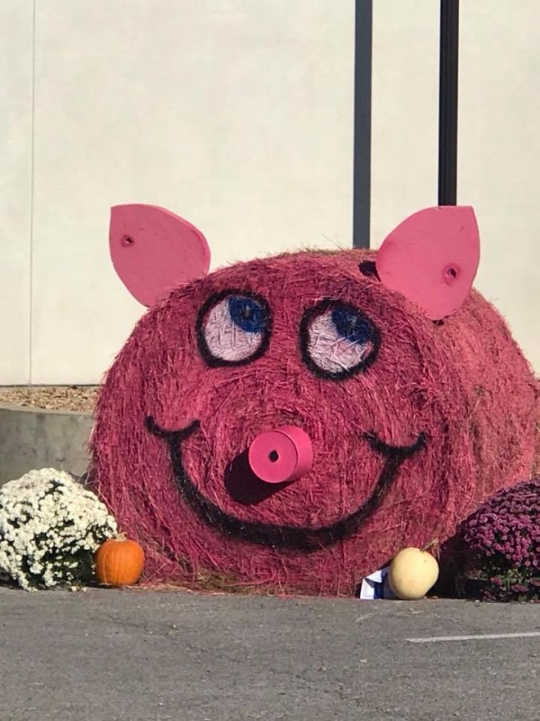 Trigg County Country Ham Festival Tennessee River Valley