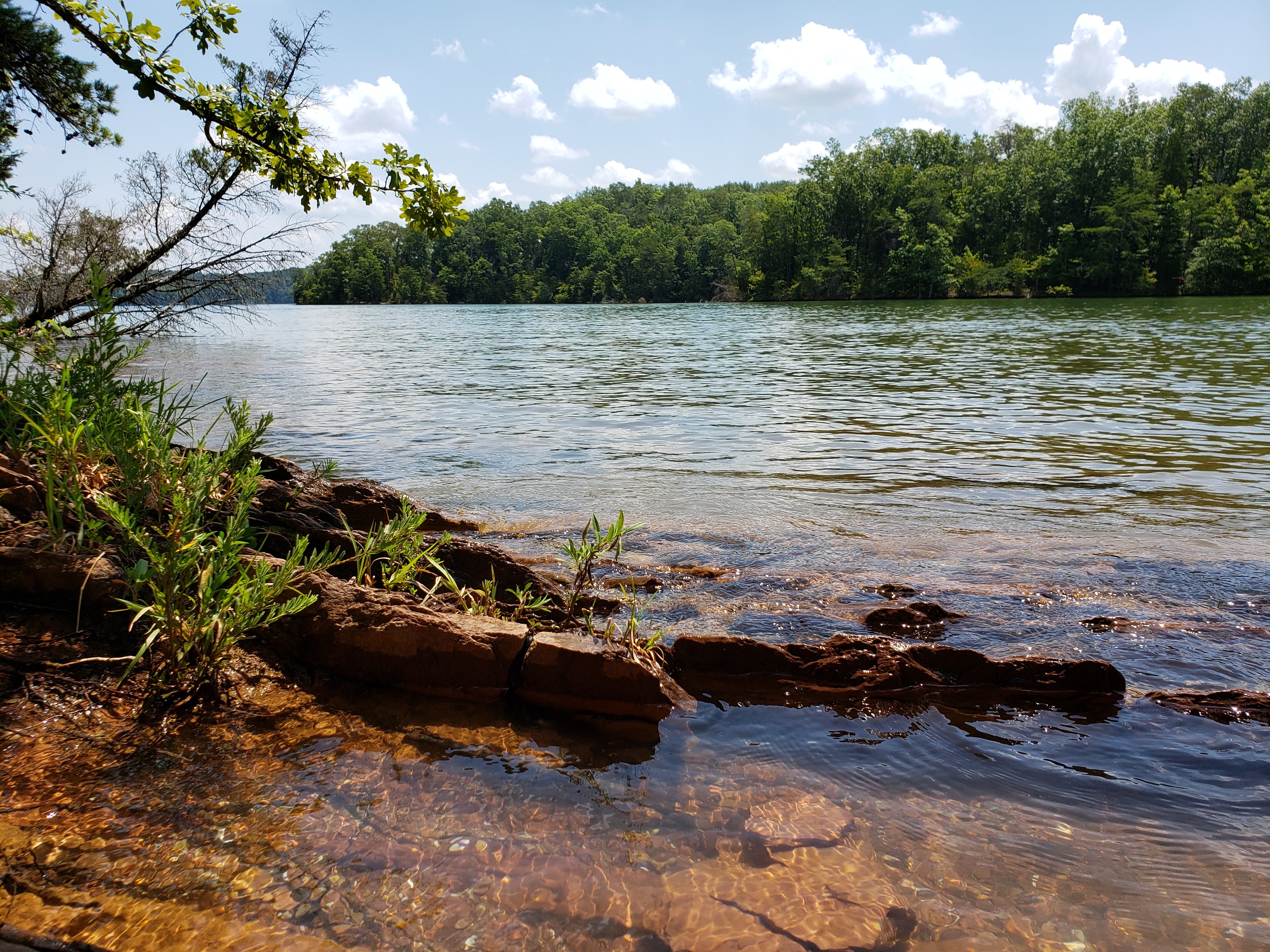 Hall Bend Small Wild Area and Trail | Tennessee River Valley