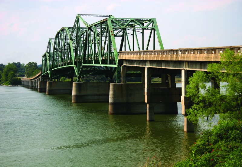 White Pine Tennessee River Valley
