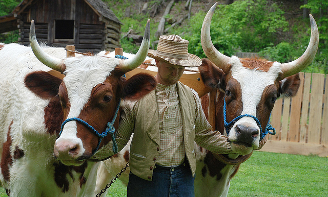 Homeplace 1850s Working Farm and Living History Museum | Tennessee River  Valley