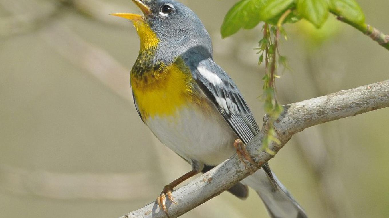 Sharp's Ridge Memorial Park | Tennessee River Valley