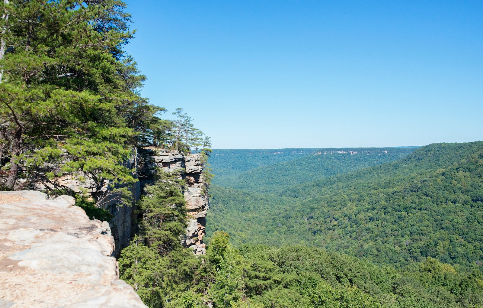 Savage Gulf State Park | Tennessee River Valley