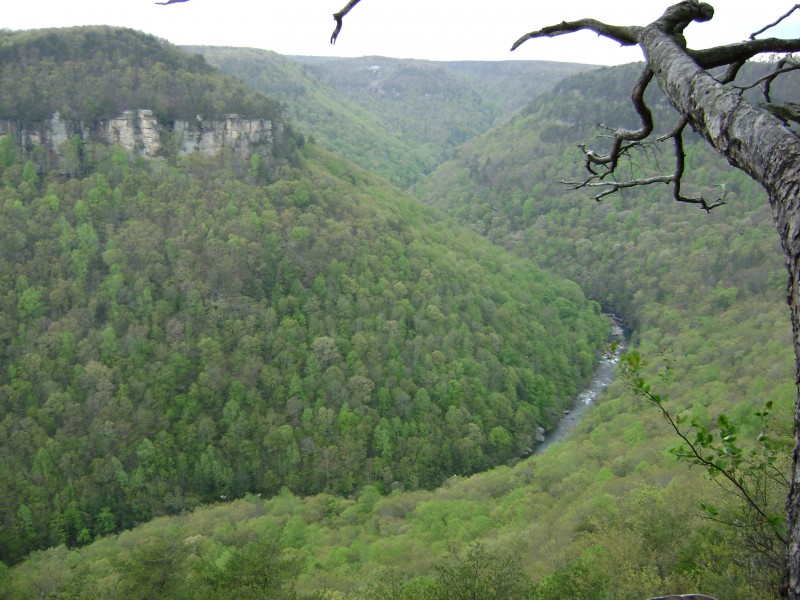 North Chickamauga Creek State Natural Area Tennessee River Valley