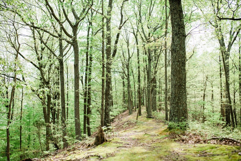 Nathan Bedford Forrest State Park Tennessee River Valley
