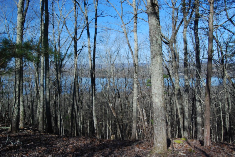 Fooshee Small Wild Area and Trail Tennessee River Valley
