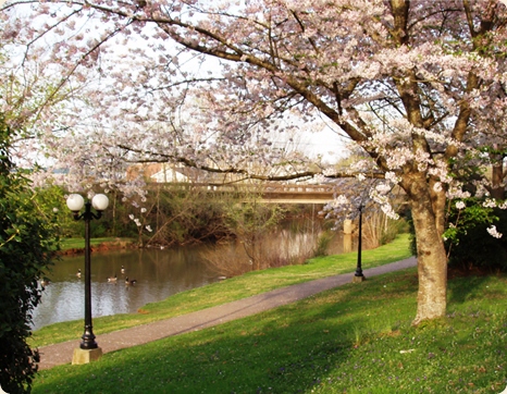 Downtown Sweetwater Tennessee River Valley