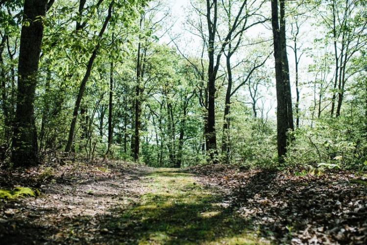 Tennessee National Wildlife Refuge Tennessee River Valley