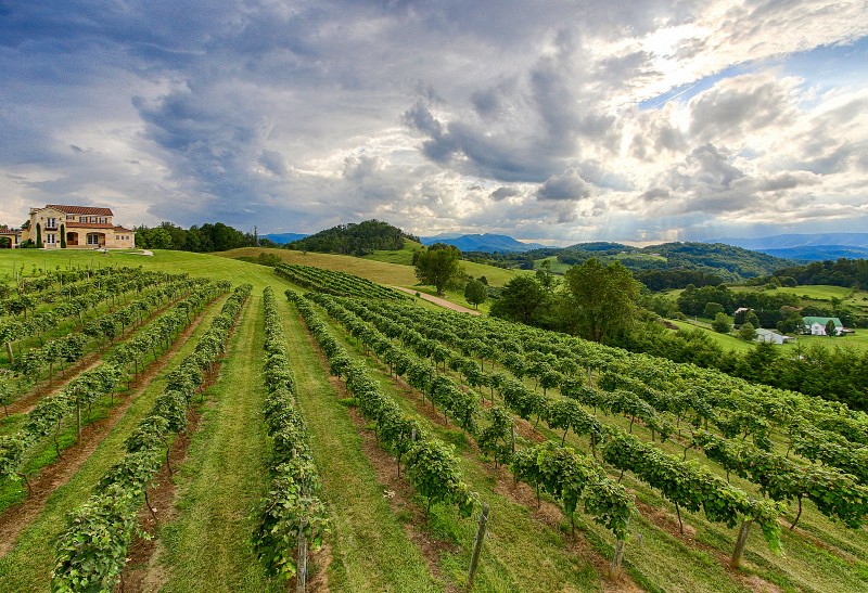 Watauga Lake Winery Tennessee River Valley