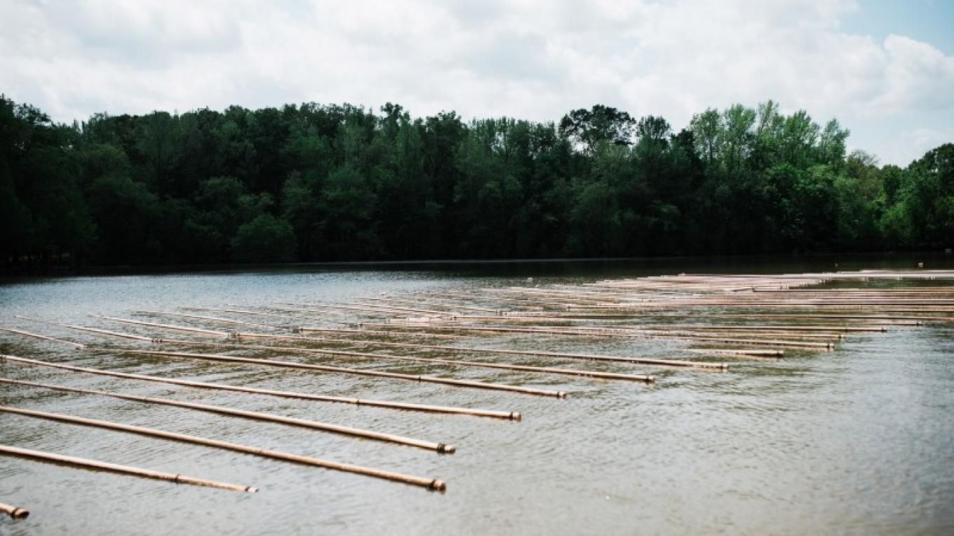 Tennessee Freshwater Pearl Farm