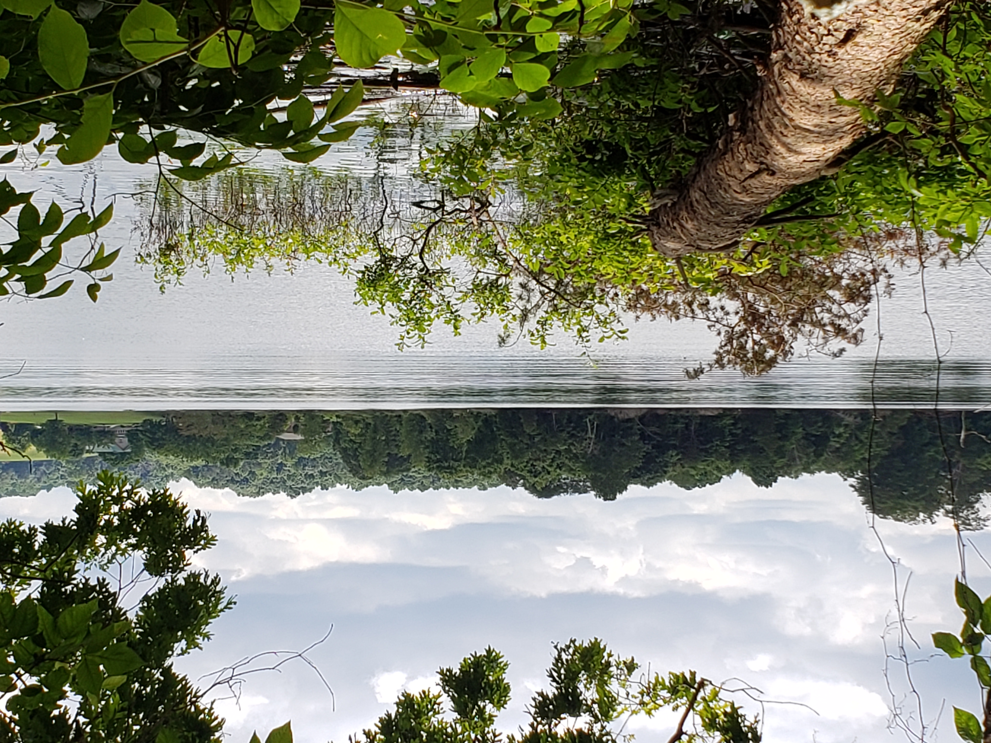 Johnson Ridge Small Wild Area and Trail Tennessee River Valley