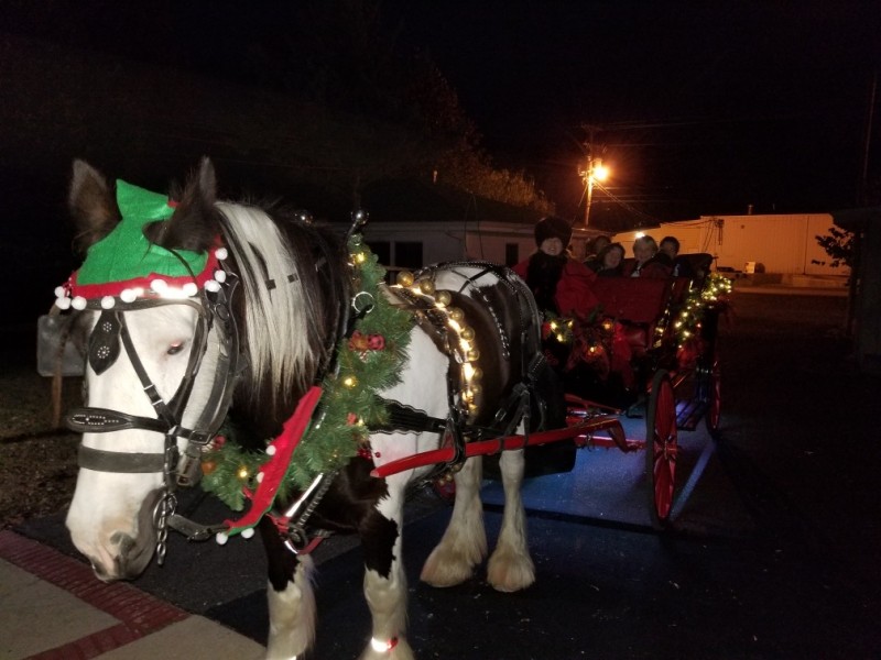 Festival Of Lights Grand Rivers Tennessee River Valley