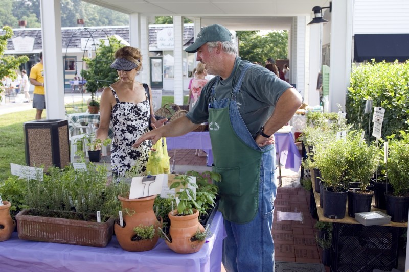 Jackson Square Lavender Festival Tennessee River Valley