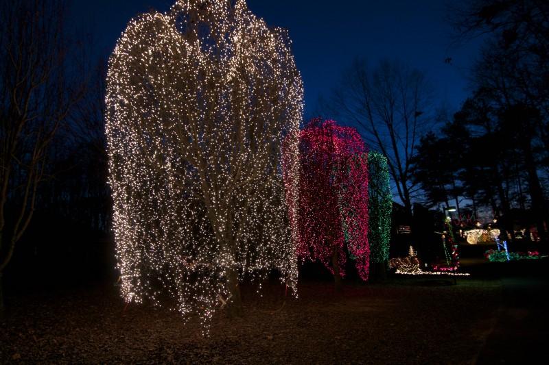 Christmas Lights In Guntersville 2022 Christmas In The Park | Tennessee River Valley