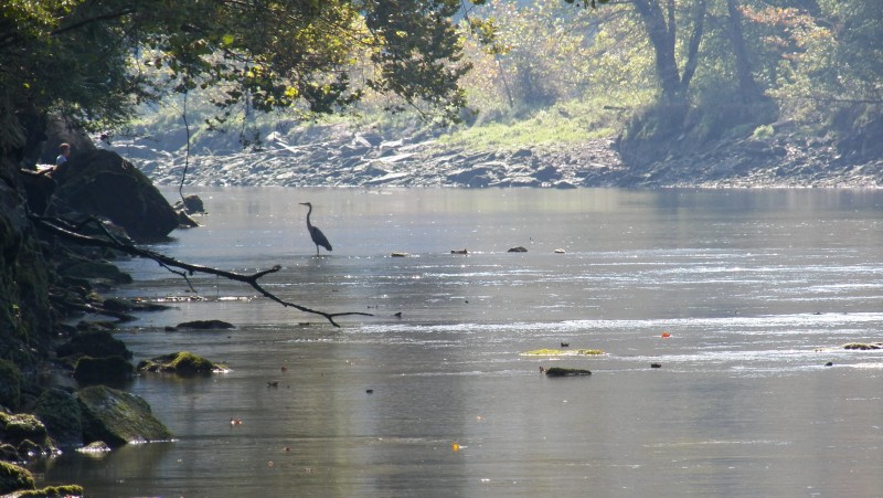 TVA Fort Patrick Henry Dam and Reservoir Tennessee River