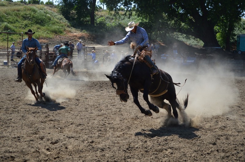 Union County Rodeo Tennessee River Valley