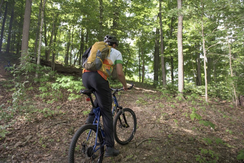 Raccoon clearance mountain mtb