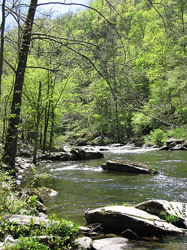 Tellico River Trout Fishing Map Tellico River Fishing Areas | Tennessee River Valley