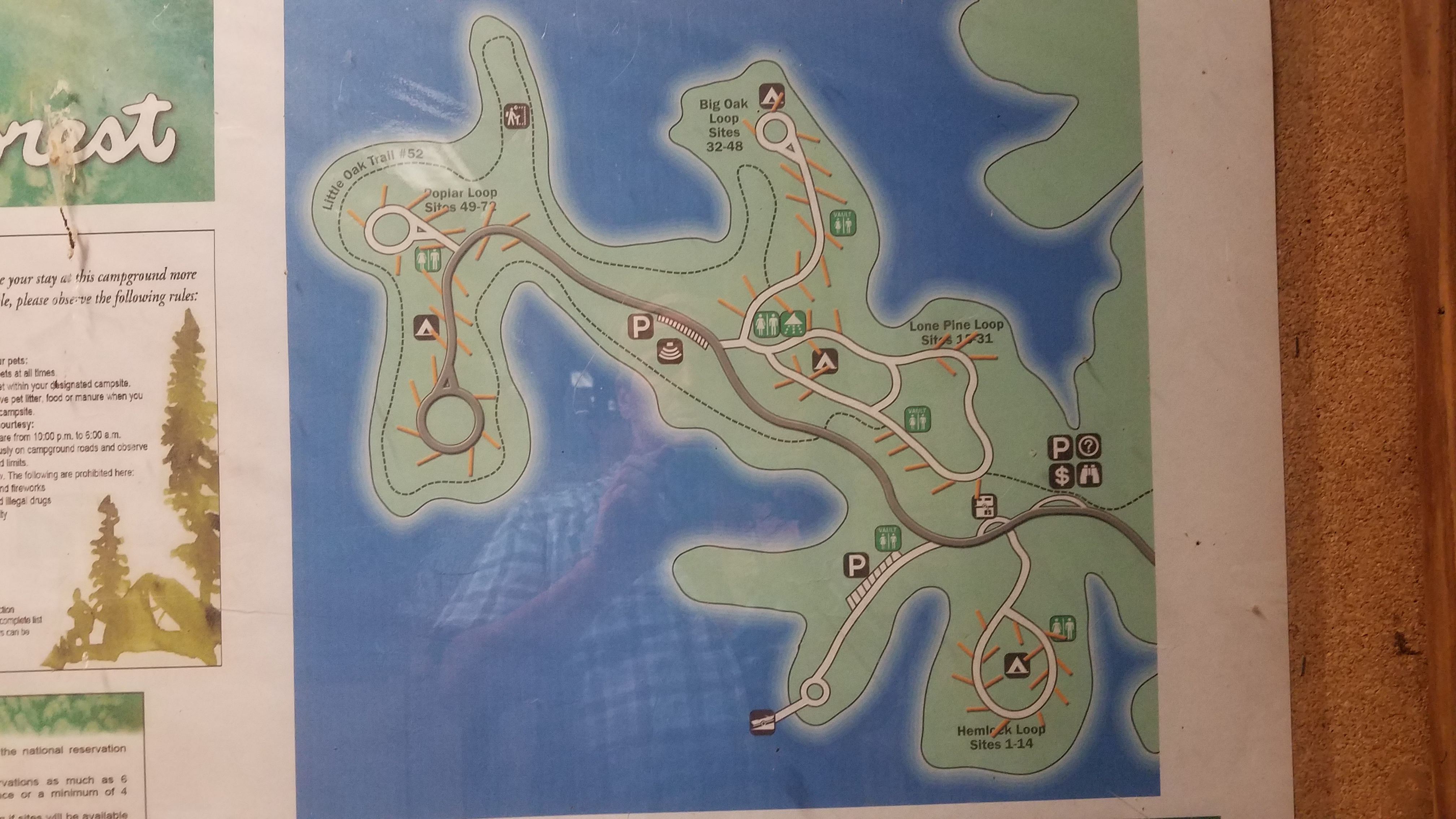 Little Oak Recreation Area South Holston Lake Tennessee River Valley