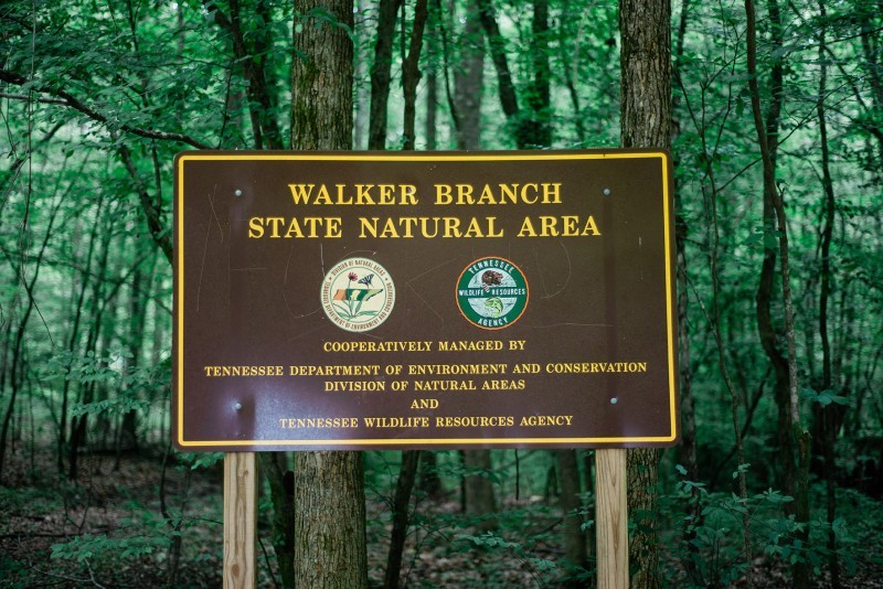 Escape to Serenity: A Guide to Tennessee's Walker Branch State Natural Area