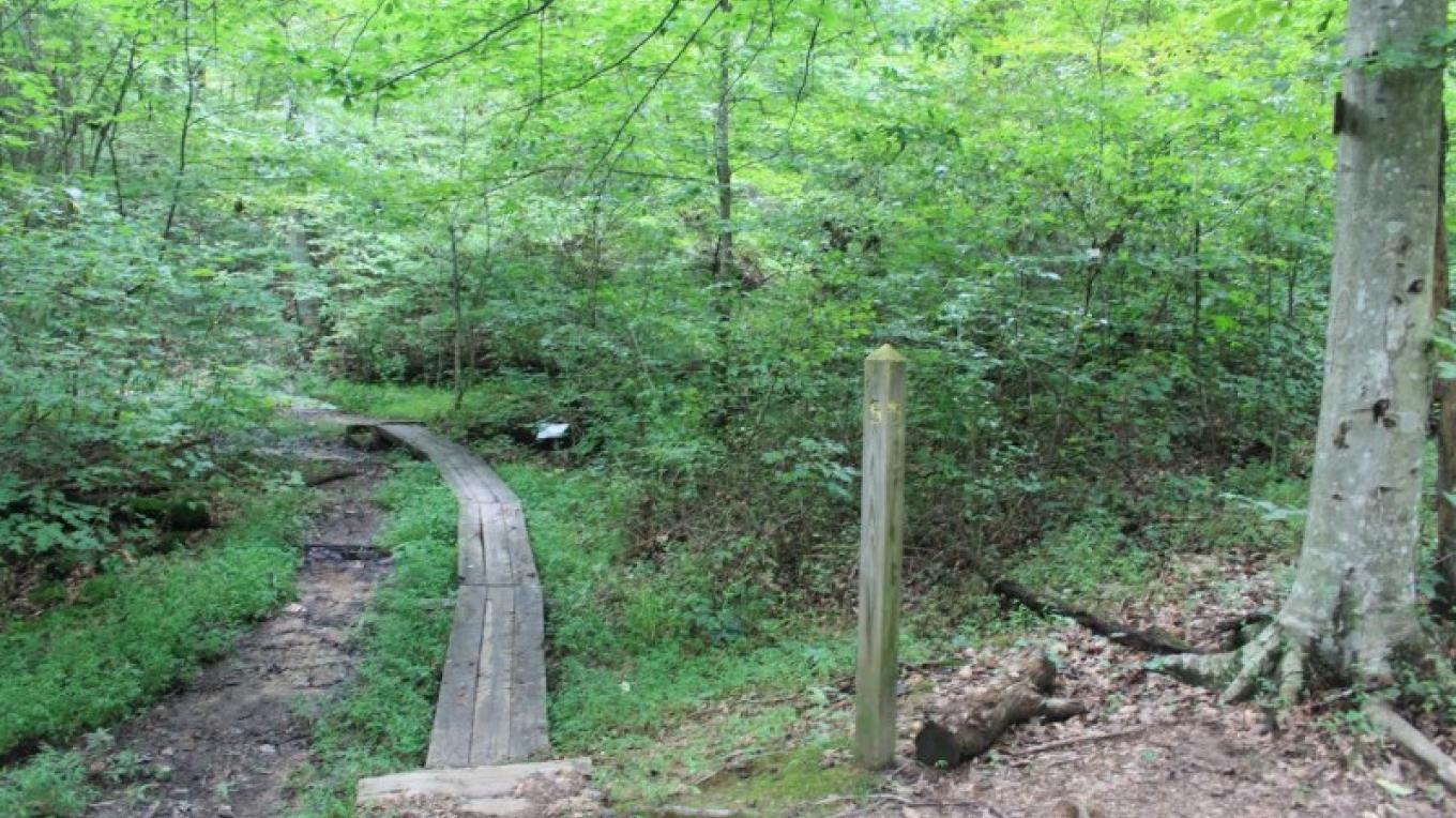 Haw Ridge Park | Tennessee River Valley