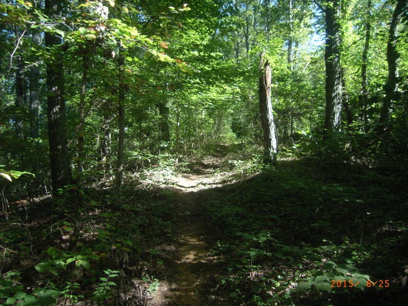 TVA Chickamauga Dam and Reservoir Tennessee River Valley