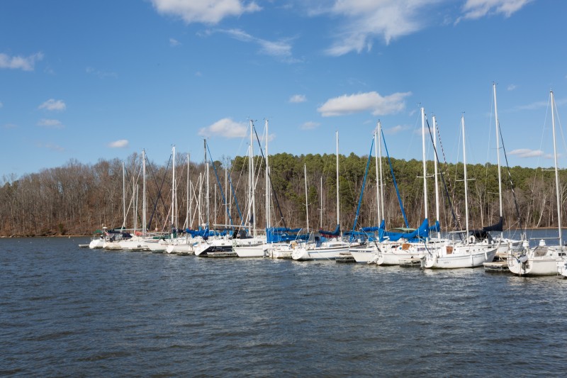 Wheeler Lake Tennessee River Valley