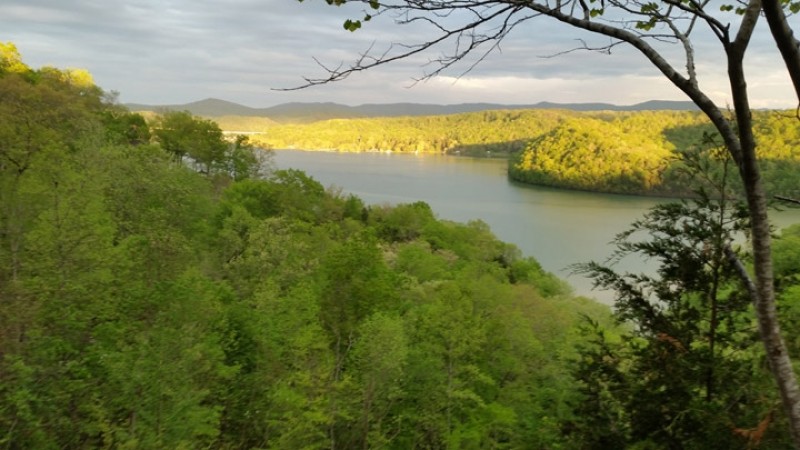 Byrdstown Cabins Tennessee River Valley