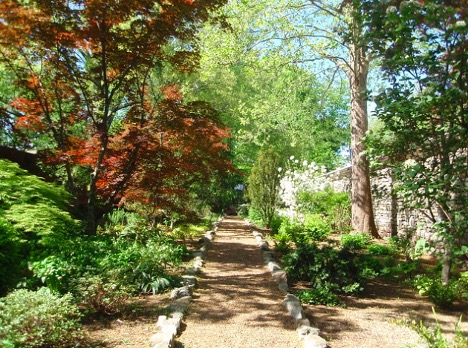 Essential Botanical Gardens to Visit in the Tennessee River Valley