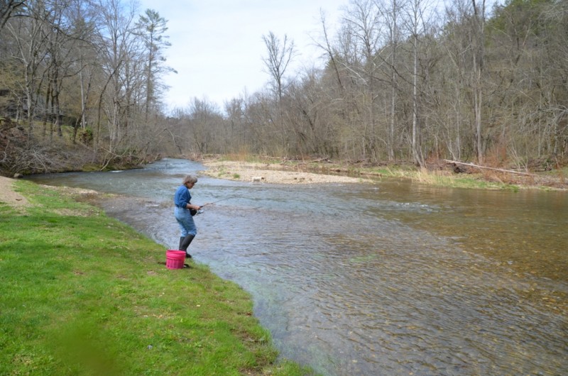 Fishing on Citico Creek Tennessee River Valley