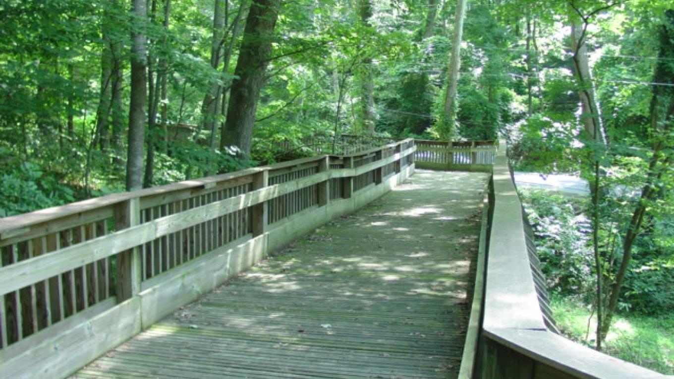 Greenway Wooden Bridge – Steve Roark Greenway Wooden Bridge – Steve Roark