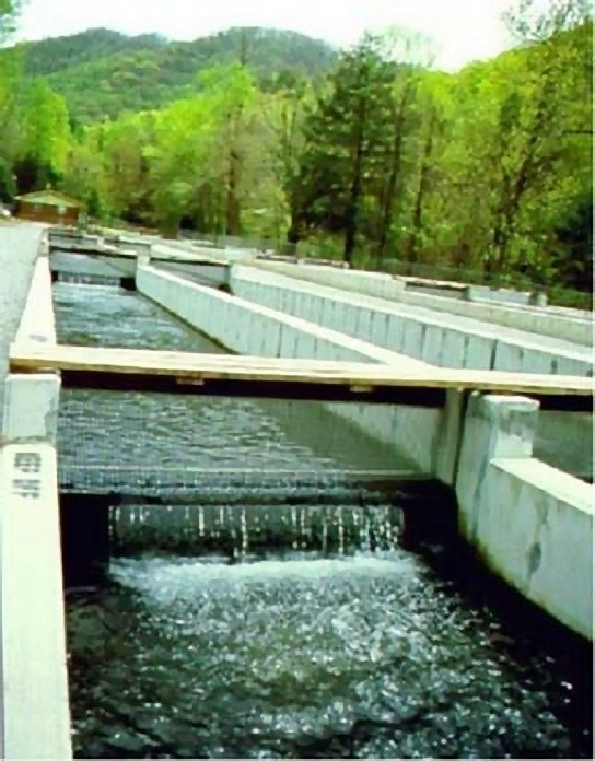 Tellico Trout Hatchery Tennessee River Valley