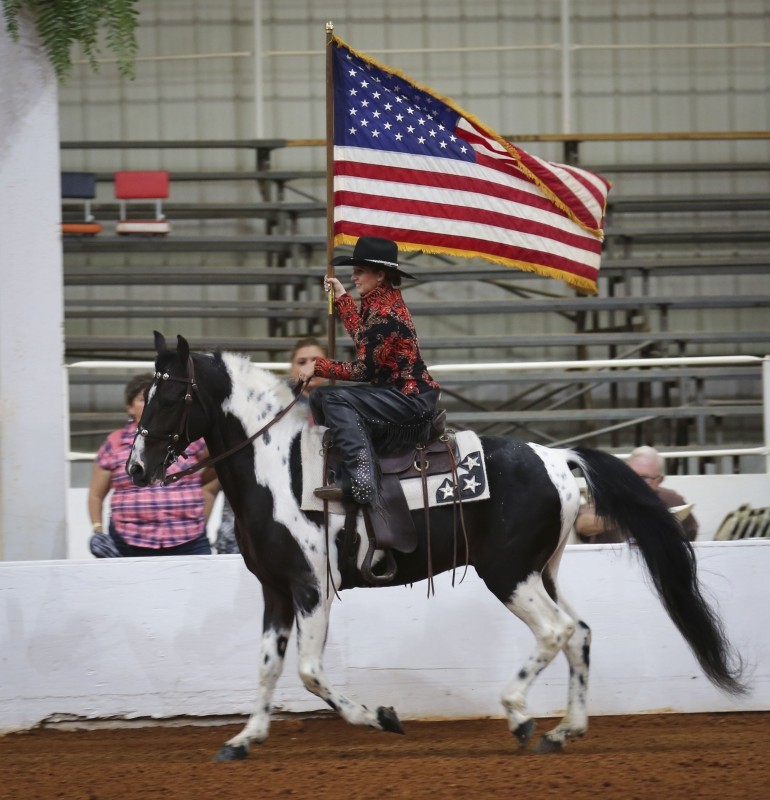 Racking Horse World Celebration Tennessee River Valley