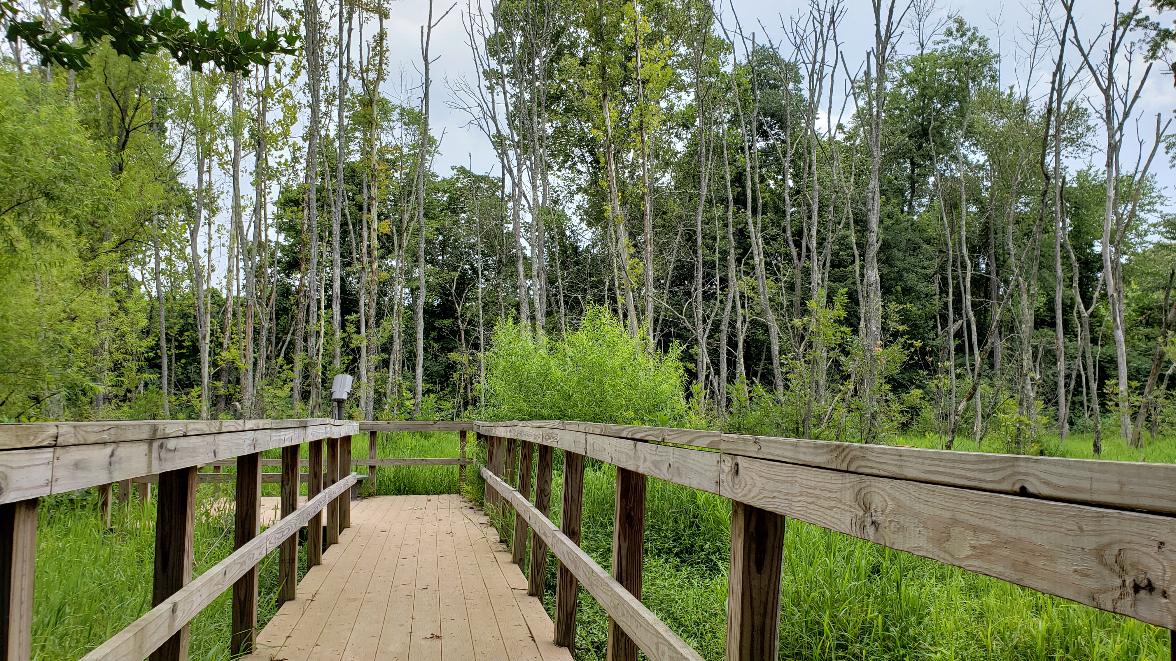 Worthington Cemetery Trail and Small Wild Area Tennessee River Valley