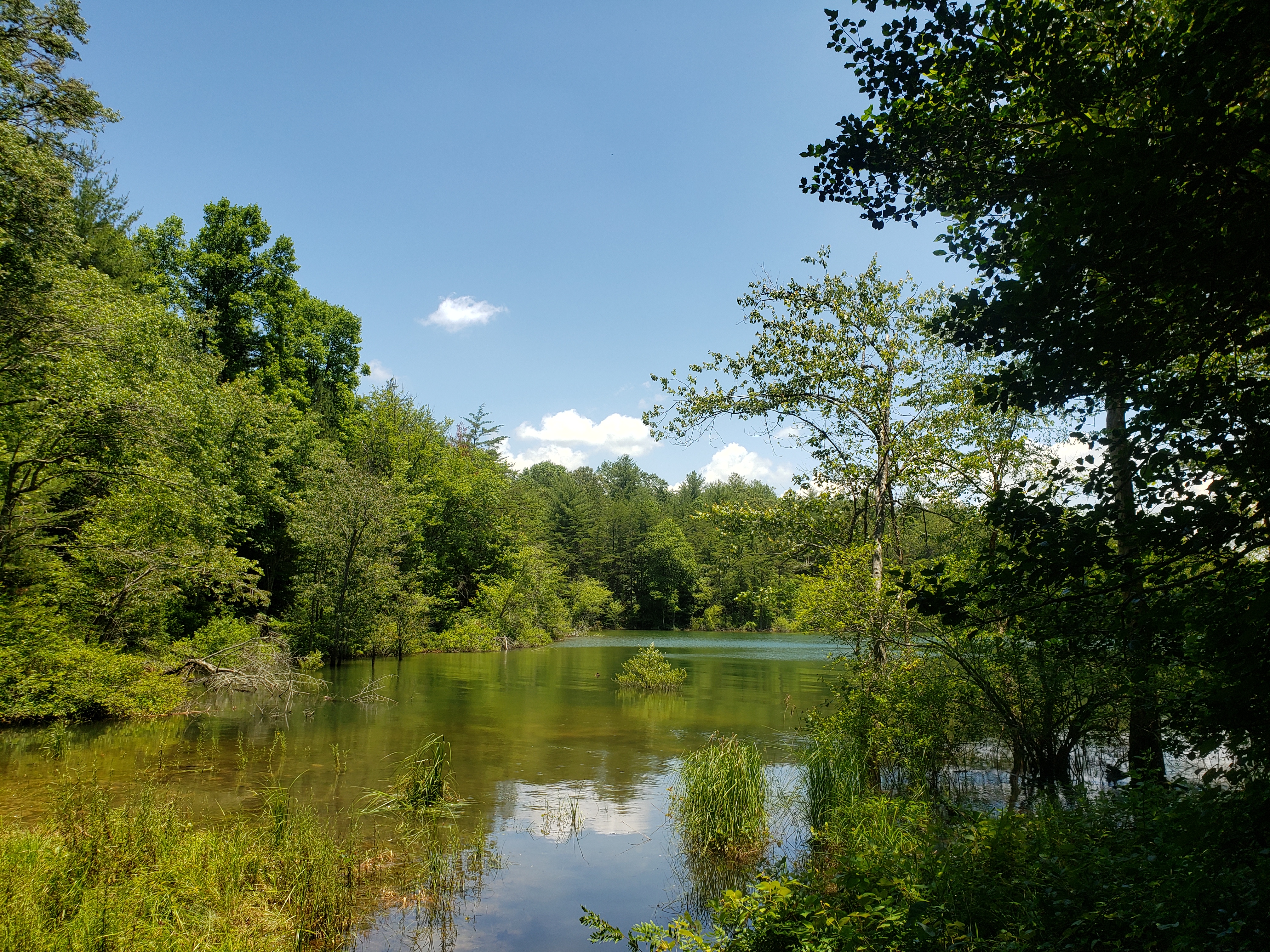 TVA Nottely Dam and Reservoir Tennessee River Valley