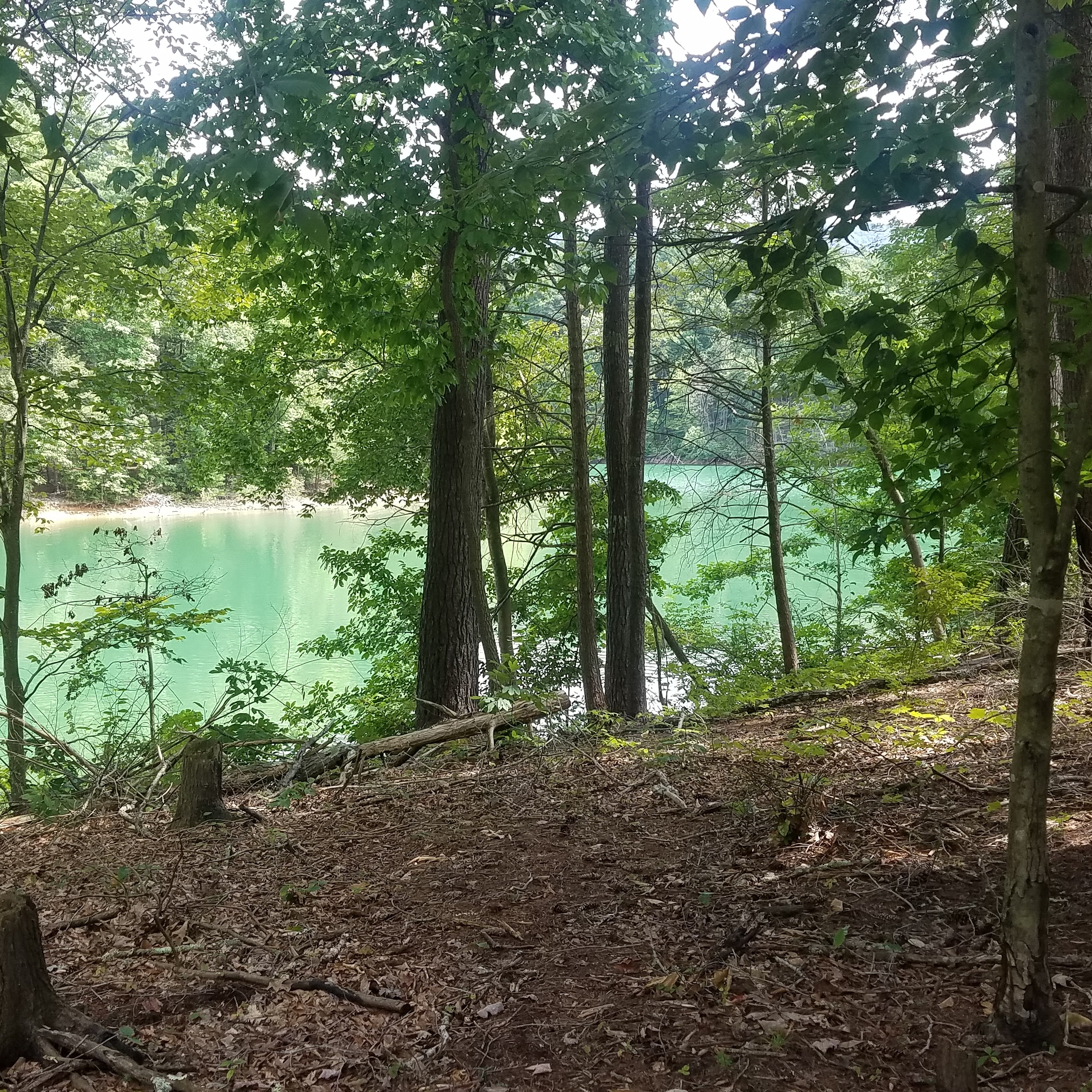 Little Oak Recreation Area South Holston Lake Tennessee River Valley